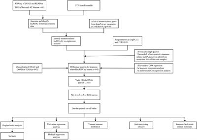 Predicting the Survival and Immune Landscape of Colorectal Cancer Patients Using an Immune-Related lncRNA Pair Model